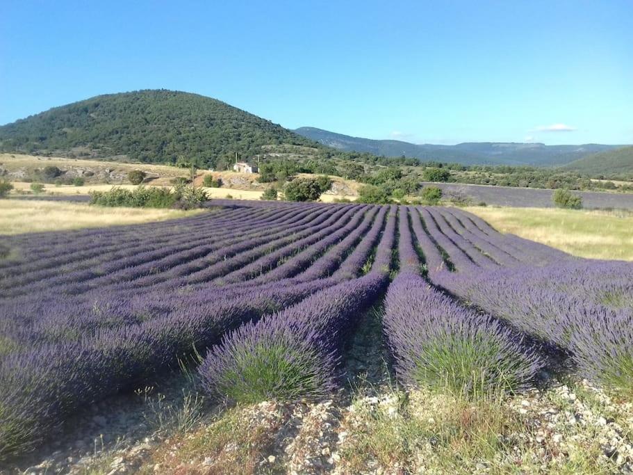 Gite Les Granges Dans Ferme Provencale. 14 Pers Ongles المظهر الخارجي الصورة
