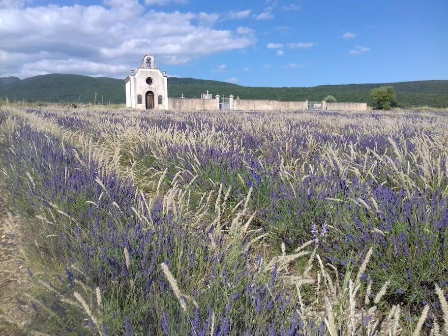 Gite Les Granges Dans Ferme Provencale. 14 Pers Ongles المظهر الخارجي الصورة