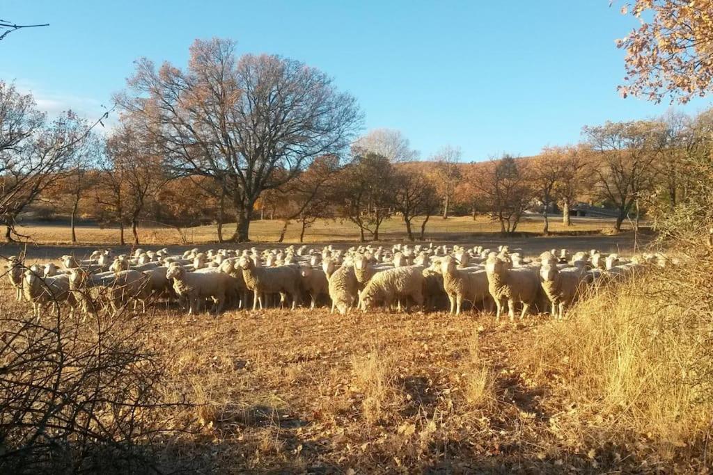 Gite Les Granges Dans Ferme Provencale. 14 Pers Ongles المظهر الخارجي الصورة