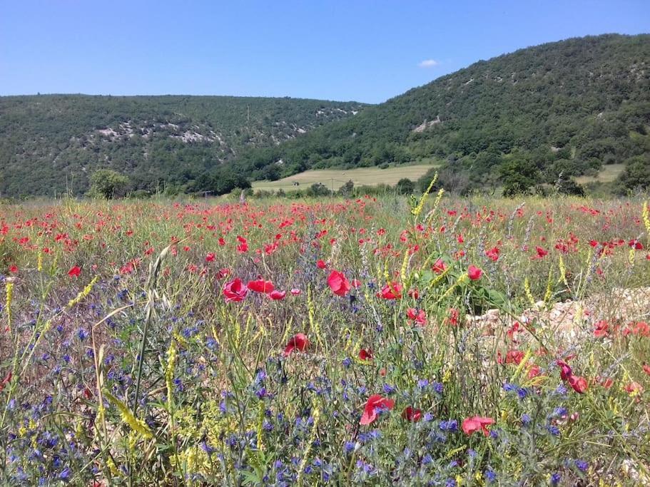 Gite Les Granges Dans Ferme Provencale. 14 Pers Ongles المظهر الخارجي الصورة